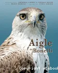 Aigle de Bonelli